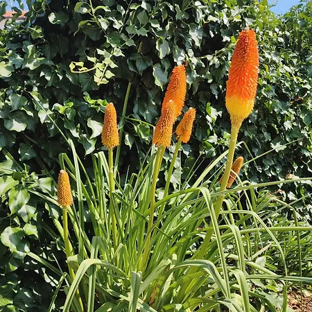 Appartement Secret Garden